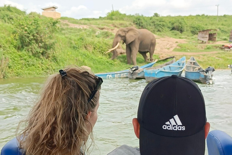 Kampala: 3-Day Queen Elizabeth National Park Safari Tour