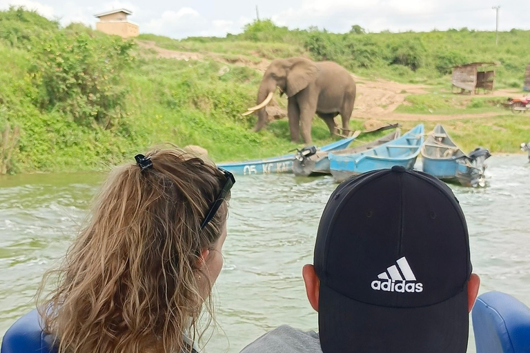 Kampala: 3-Day Queen Elizabeth National Park Safari Tour