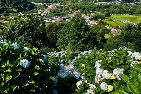 São Miguel: Furnas Half-Day Tour