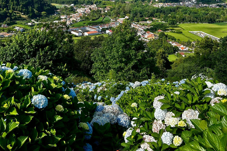 São Miguel: Furnas Half-Day Tour