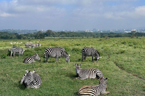 Nairobi: Lake Nakuru National Park and Lake Naivasha Tour