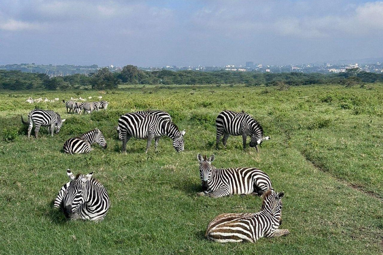 Nairobi: Lake Nakuru National Park and Lake Naivasha Tour