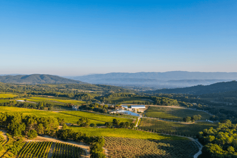 Aix-en-Provence: Art & Architecture Tour of Château La Coste