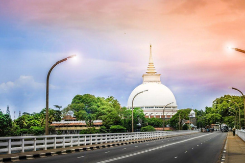 Transfert à Galle depuis Colombo/NegomboExcursion d&#039;une journée avec transfert (de Colombo à Galle)