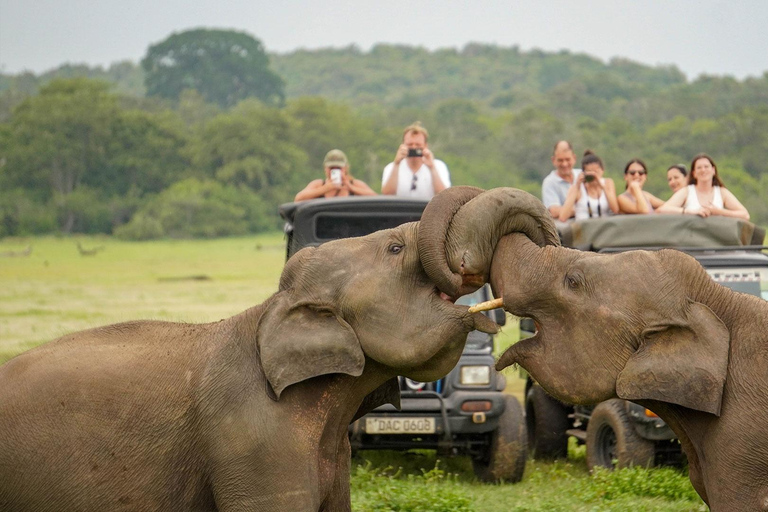 Minneriya: Full-Day 4x4 Safari, Secret Trails & Jungle Lunch Full Day Safari