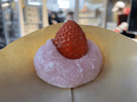 Asakusa Traditional Japanese sweets tour around Sensoji - Housity