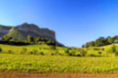 Cannes Shore Excursion: Private Provence Wine Experience