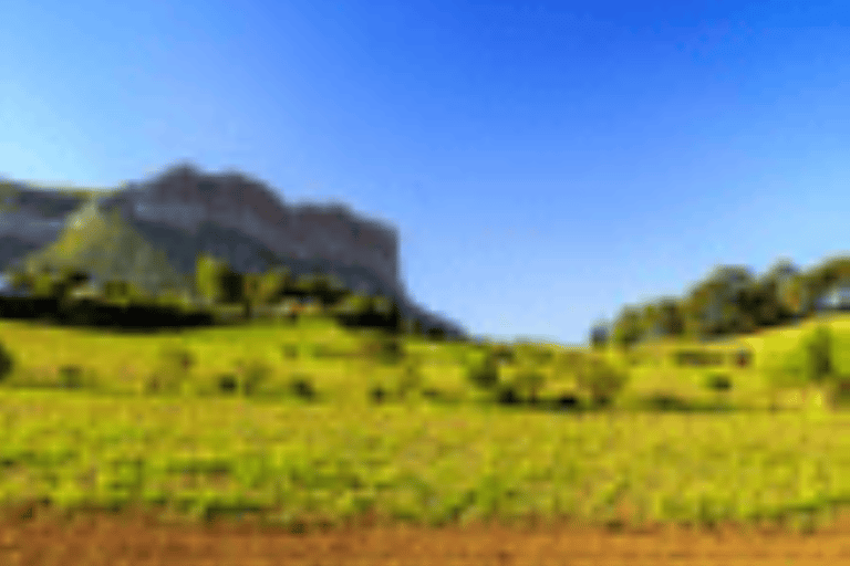 Cannes Shore Excursion: Private Provence Wine Experience