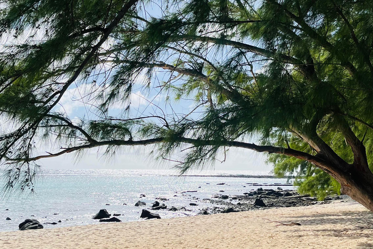 3 îles du Nord : Excursions incroyables en bateau rapide et barbecue sur la plage