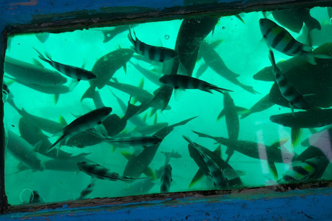 Mombasa: Marine Park Glass Bottom Boat Tour with Snorkeling