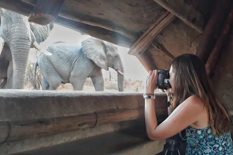 Victoria Falls: Siduli Hide Wildlife Viewing Experience