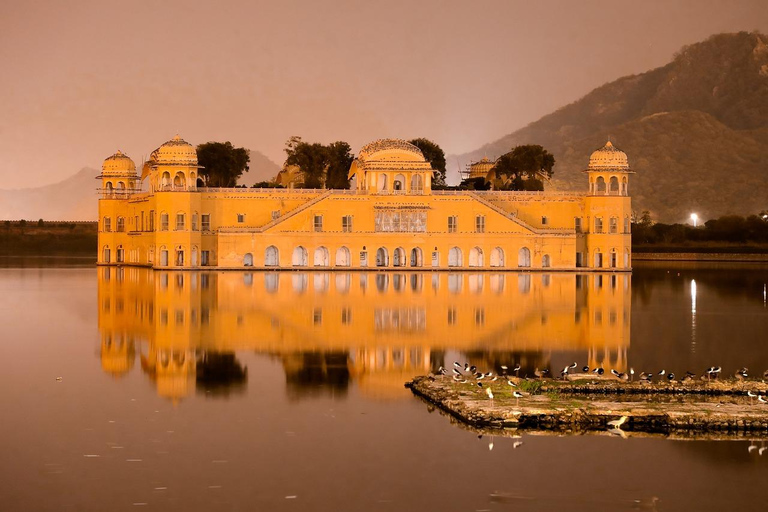 Tour privato della sera di Jaipur con tramonto del Tempio delle ScimmieTour serale di Jaipur in auto