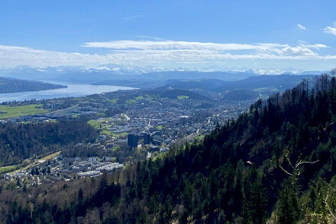 Zurich: Accompanied hike to Uetliberg