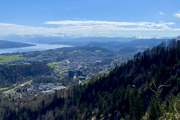 Zurich: Accompanied hike to Uetliberg