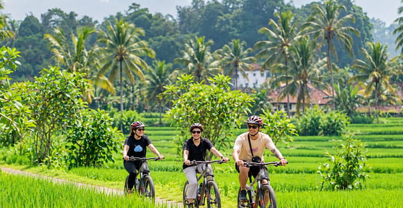 Ubud: Private Cycling & Tirta Empul Purification with Lunch