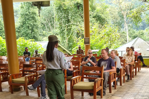 Uganda: 7-dagars gorillasafari och djurliv