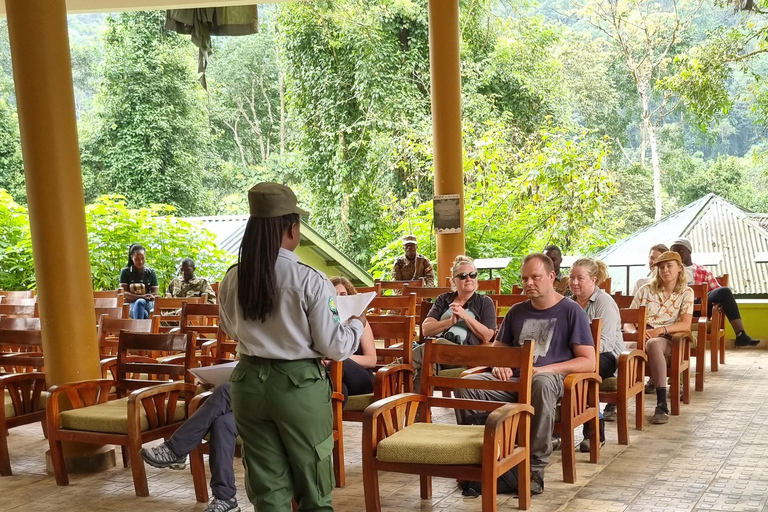 Uganda: 7-dagars gorillasafari och djurliv