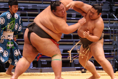 Tokyo: Sumo Wrestling Tournament Chair Seats & ExpertGuide Tokyo: A-Class Seats