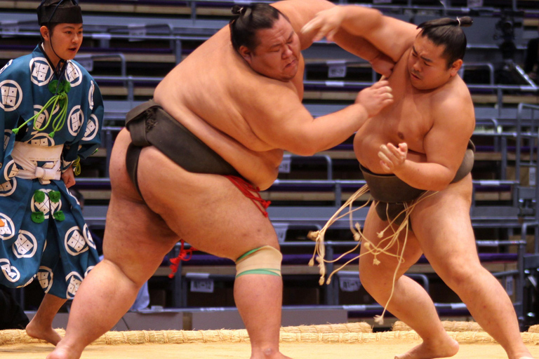 Tokyo: Sumo Wrestling Tournament Chair Seats & ExpertGuide Tokyo: A-Class Seats