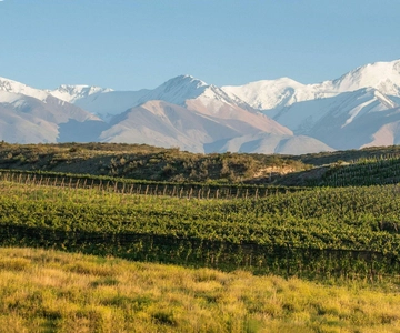 Excursão vinícola Terroir Pot Pourri.