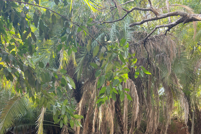 Moshi/Arusha: Chemka Hot Springs Materuni Waterfall Day tour 2 in 1 : Materuni & Chemka tour from Moshi