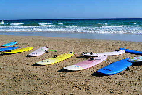 Tel Awiw: wypożyczalnia desek surfingowych lub boogie w Beach ClubWynajem deski Boogie