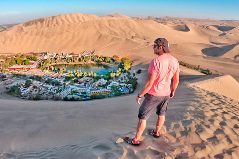 From Lima: 1-day guided tour of Paracas and Huacachina Oasis Tour Option 2