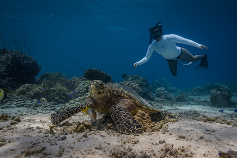 Padang Bai Snorkeling Trip with Lunch and Local Guide