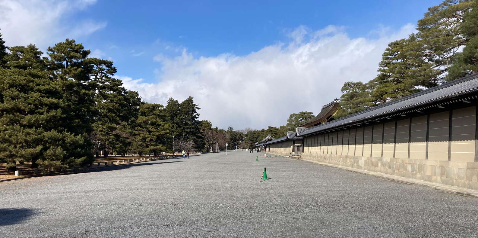 Kyoto: Nijo Castle and Kyoto Imperial Palace Guided Tour
