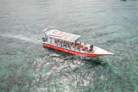 Bali: Private Snorkeling at Manta Point Nusa Penida Round Transfer Bali Island