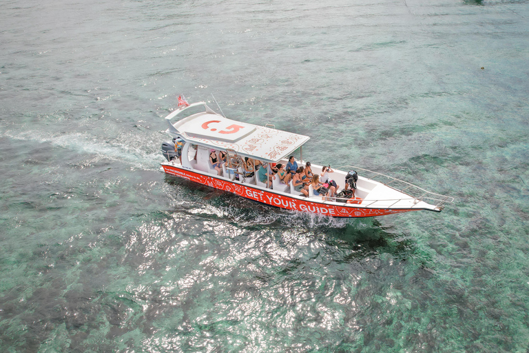 Bali: Private Snorkeling at Manta Point Nusa Penida Round Transfer Bali Island