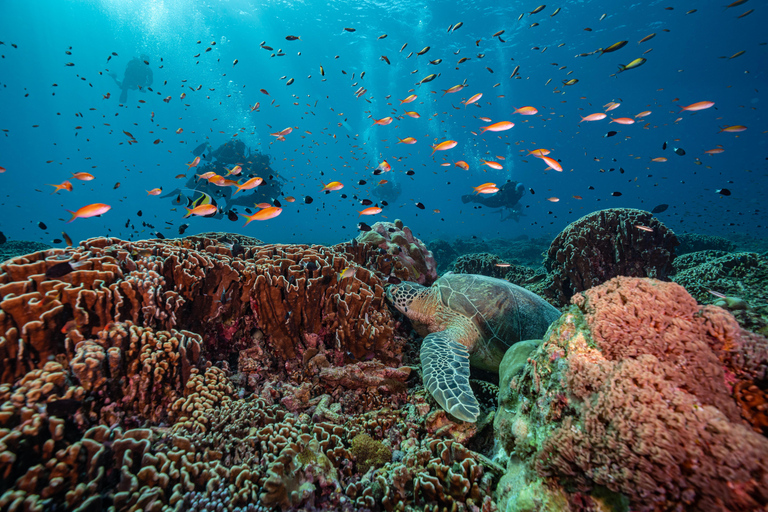 Manta Dive Gili Trawangan: Fun Diving for certified divers