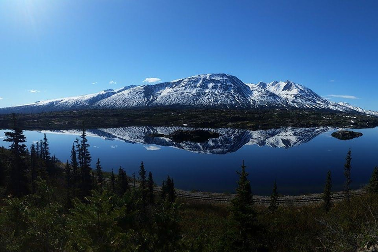 Skagway: Klondike Highway &amp; Yukon bustour met Husky Kennel