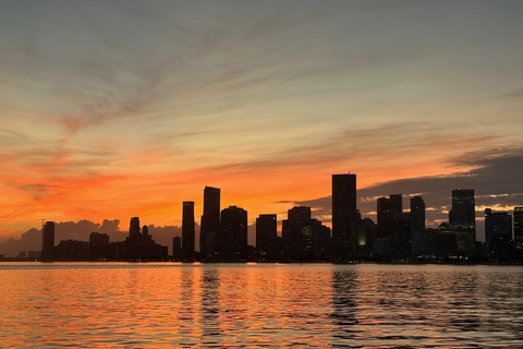 Crociera serale al tramonto a Miami Case dei milionari + Luci dello skylineCrociera al tramonto a Miami: case da milionari + luci dello skyline