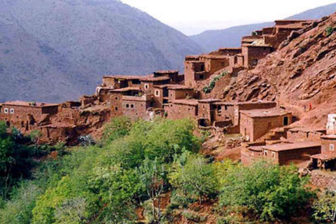 Desde Marrakech: montañas del Atlas, valle de Ourika y paseo en camello