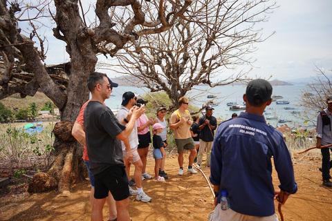 Labuan Bajo: Komodo Islands Full-Day Speedboat Tour