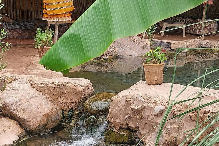 Agadir: Paradise Valley Guided Hike and Swim Day Trip
