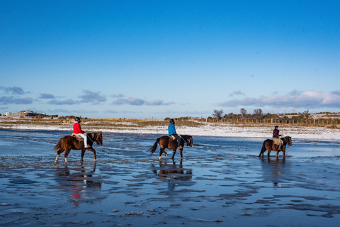 Horseback Riding near Strait of Magellan