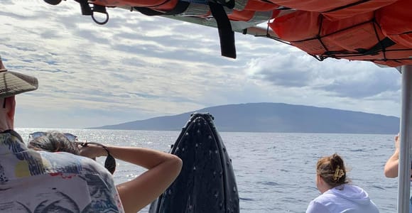 Ka&#39;anapali: Whale Watching Boat Tour