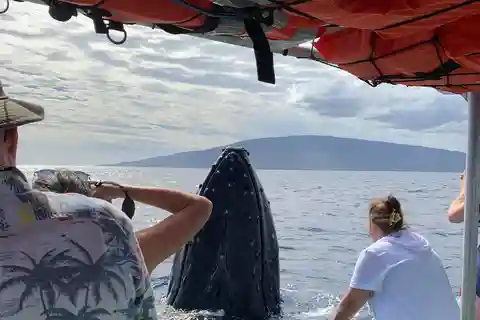 Ka'anapali: Whale Watching Boat Tour