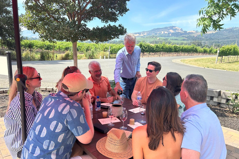 Sonoma Valley: Guided Winery Tour with Picnic Lunch