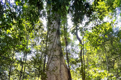 Tour di 2 giorni da Dalat al parco nazionale di Cat Tien, rientro a Saigon