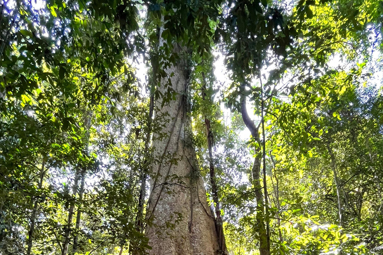 2 dagars tur Dalat till Cat Tien nationalpark, avlämning Saigon