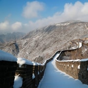 Excursión A La Gran Muralla China Con Escala En Pekín | GetYourGuide