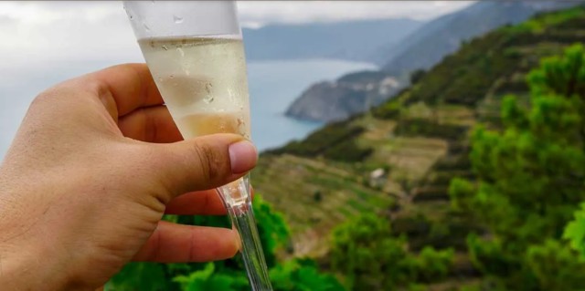 Visit Visit the Cinque Terre Winery in Cinque Terre