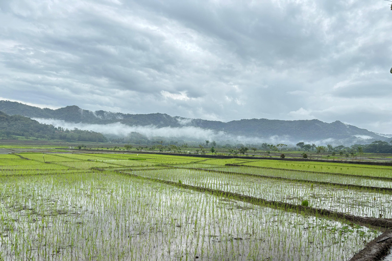 Yogyakarta: tour del Palazzo del Sultano, Borobudur e tramontoYogyakarta: Palazzo del Sultano, Borobudur e tour al tramonto