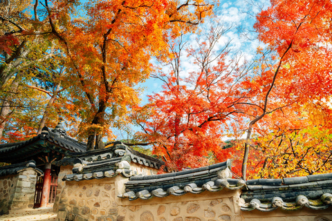 Busan: Gyeongju Autumn Foliage Day Tour with Historic Sites Shared Tour, Meet at Haeundae Station
