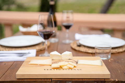 Valencia: Utiel-Requena Wine Tour with Tapas and Wines