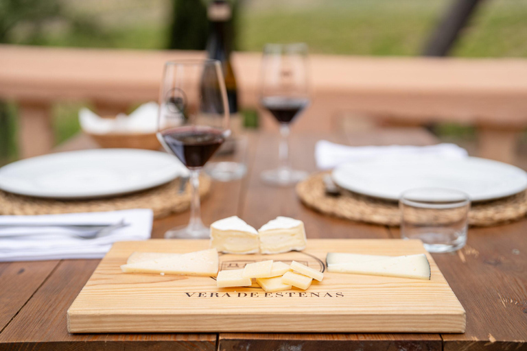 Valencia: Utiel-Requena Wine Tour with Tapas and Wines