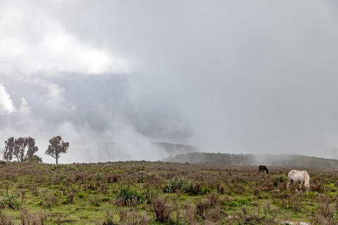 Addis Ababa: 4-Day Bale Mountains Adventure Tour